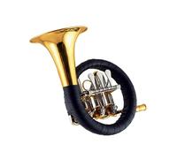 Trompa Dorada La Trompa Francesa En Si Bemol Es Adecuada Para Que Los Principiantes Practiquen Su Interpretación