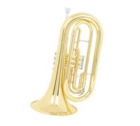 Trompa Francesa BB Single French Horn Corno Tenor En Si Bemol Instrumento De Viento Metal De Marcha Profesional