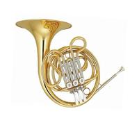 Trompa Francesa BB Single French Horn Trompa Francesa Con Laca Dorada Para Principiantes Instrumento De Metal Profesional Con Llave Eb F