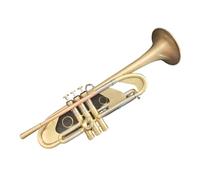 Trompeta Accesorios Completos Para Instrumentos De Trompeta De Latón Profesional Exclusivos Para Conciertos