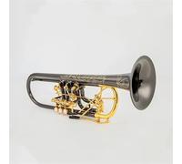 Trompeta Bb B plana latón llave plana trompeta profesional instrumentos musicales con estuche