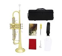 Trompeta Bb, Conjunto De Trompeta De Cuerpo De Latón Con Estuche De Almacenamiento, Boquilla, Instrumentos Profesionales De Latón, Trompeta Plateada Dorada Plana En Si