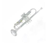 Trompeta Bb Cuerpo De Latón Juego De Trompeta Instrumentos De Viento Metal Profesionales Trompeta B-flat Gold Silver(Silver)