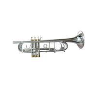 Trompeta Bb De Calidad, Instrumentos Musicales De Latón, Trompeta Bc Chapada En Plata Con Boquilla, Funda Para Guantes (Color : Silver)