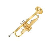 Trompeta Bb Instrumento Calidad Latón Trompeta De Superficie Plateada Con Accesorios De Caja (Color : Gold)