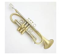 Trompeta Bb Tune Latón Chapado En Oro Superficie Instrumentos Musicales Profesionales