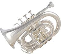 Trompeta de Bolsillo, Mini Trompeta Profesional B-Flat Chapado en Plata Número de Palma Pistón de Cobre Blanco Instrumento de Viento Uso for Estudiantes Principiantes