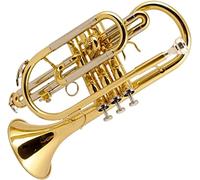 Trompeta de Bolsillo, Mini Trompeta Profesional B-Flat Laca Oro Bolsillo Trompeta Fluger latón música Principiante Grado Examen Tocar Trompeta
