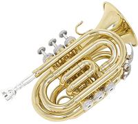 Trompeta de Bolsillo, Mini Trompeta Profesional Tono BB Clave Trompeta de Bolsillo Conveniente Tocando Profesional Cornet Trompeta Boquilla Instrumento de Viento