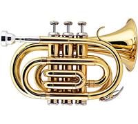 Trompeta de Bolsillo, Mini Trompeta Profesional Trompeta de Bolsillo B-Flat Instrumento de Viento Mini Trompeta Instrumento de latón Trompeta de Palma Principiante