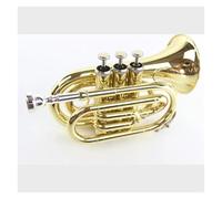 Trompeta de bolsillo plana Gold Bb B con estuche rígido, boquilla, paño y guantes