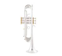 Trompeta De Calidad Chapada En Plata Con Llave De Oro Plana Bb Trompeta Profesional Campana Instrumentos Musicales (Color : Silver)