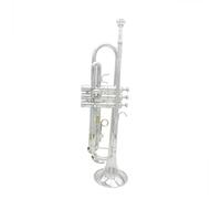 Trompeta De Rendimiento Profesional Bb De Latón Pintado En Oro Exquisito Y Duradero Instrumento Musical De Latón(Silver)