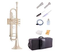 Trompeta de Tres Tonos en si Bemol, Teclas Plateadas Doradas, Prensa de Concha Natural, latón Instrumental, pistón de Acero Blanco, Ideal para Principiantes y p