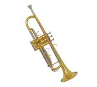 Trompeta En Si Bemol Para Principiantes Adultos Que Quieren Tocar Instrumentos De Metal. Juego Trompeta Estándar