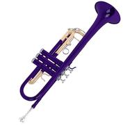 Trompeta estándar con estuche de almacenamiento, instrumentos profesionales de latón para principiantes o avanzados, instrumento de latón para principiantes o avanzados