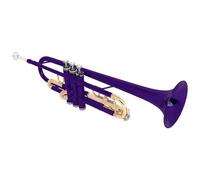 Trompeta estándar de latón, instrumento de trompeta para estudiantes con estuche de almacenamiento, cuerno de banda, para niños y adultos, principiantes, instrumentos profesionales