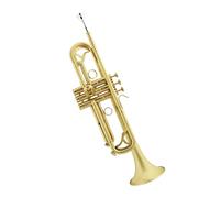 trompeta estándar Instrumento de jazz trompeta trompeta instrumento si trompeta plana instrumento trompeta mate cepillado