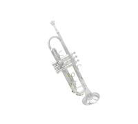 trompeta estándar Trompeta Bb conjunto de trompeta de cuerpo de latón instrumento de latón profesional trompeta plana de oro y plata(Color:Silver)