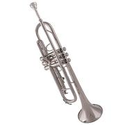 trompeta instrumento de metal Estudiantes Principiantes Tocando Trompeta, Instrumento Musical En Si Bemol, Cerbatana De Oro Lacado Para Examen De Grado