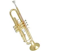 trompeta instrumento de metal Introducción Al Instrumento De Trompeta, Banda De Trompeta En Si Bemol De Latón Dedicada Al Oro