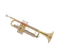 trompeta Instrumento de trompeta plana B boquilla de bronce fosforado tubo de paso de cobre boca de latón