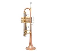 Trompeta Instrumento De Trompeta Profesional En Tonalidad De C Para Principiantes Con Caja