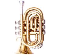 trompeta instrumento musical Instrumento De Trompeta B Plano Trompeta De Tres Notas Mini Trompeta De Palma Banda Profesional Para Examen De Rendimiento Para Principiantes(Color:Gold)