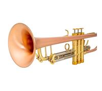 Trompeta Instrumento Musical La Interpretación Profesional Del Instrumento Trompeta En Si Bemol Es Fácil De Aprender