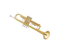 trompeta instrumento musical profesional Instrumento de trompeta plana B cuerpo de tubo de latón superficie dorada lacada tipo especial