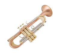 trompeta instrumento musical profesional Trompeta Bb, Laca Dorada Trompeta Chapada En Plata Instrumentos Musicales De Latón Trompeta Tipo Compuesto(Color:Gold)