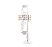 trompeta instrumento musical profesional Trompeta Bb, Laca Dorada Trompeta Chapada En Plata Instrumentos Musicales De Latón Trompeta Tipo Compuesto(Color:Silver)