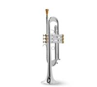 trompeta instrumento musical profesional Trompeta Bb Laca Dorada Trompeta Plateada Latón Instrumentos Musicales Tipo Compuesto Trompeta Acero Inoxidable(Color:Silver)