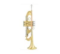 Trompeta Instrumento Musical Profesional Trompeta Instrumento Musical