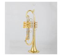 trompeta instrumento musical profesional Trompeta Profesional Bb Tune La Superficie Chapada En Oro Y Plata De Latón Con Estuche Tiene Un Cuerpo De Latón Duradero(Color:Gold)