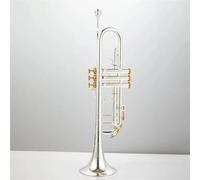 Trompeta Instrumento Musical Trompeta Cuerno Bañado En Plata Tubo De Latón Instrumento De Trompeta Fabricación De Latón