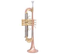 Trompeta Instrumento Musical Trompeta En Si Bemol Pesado De Bronce Fosforoso Instrumento Para Orquesta, Banda, Interpretación Profesional Graduada