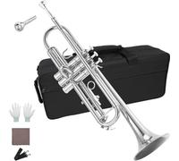 Trompeta Instrumento Musical Trompeta Profesional De Latón En Sib Chapada En Níquel Y Dorada Para Adultos Y Principiantes(Nickel Plated)