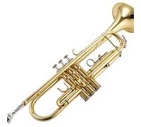 Trompeta Laton Professional BB Flat Instrumento De Trompeta En Si Bemol Con Llave De Oro Plateada Examen De Grado De Banda Desempeño Profesional(Gold+canvas bag)