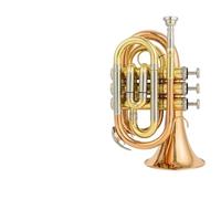 Trompeta Laton Professional BB Flat Instrumento De Trompeta Niquelado Y Bañado En Oro Para Que Lo Toquen Los Principiantes(Phosphor bronze)