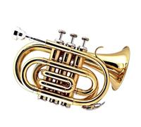 Trompeta Laton Professional BB Flat Instrumento De Trompeta Niquelado Y Bañado En Oro Para Que Lo Toquen Los Principiantes(Gold)