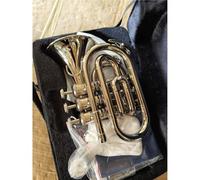 Trompeta Laton Professional BB Flat Trompeta Profesional Para Principiantes En Si Bemol Con Accesorios Completos(Nickel-plated)