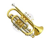 Trompeta Música Laca Dorada Clave B Instrumento De Viento Profesional Rendimiento Trompeta Profesional
