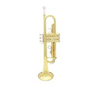 Trompeta Musical Profesional Bb B, Material De Latón Plano, Instrumento De Viento Trompeta Con Boquilla, Funda Con Correa, Accesorios (Color : Gold)