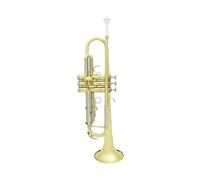 Trompeta Musical Profesional Bb B, Material De Latón Plano, Instrumento De Viento Trompeta Con Boquilla, Funda Con Correa, Accesorios (Color : Gold Silver)