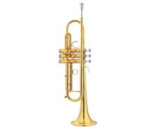 Trompeta Para Adultos Instrumento De Trompeta B Tecla Plana Banda Para Principiantes Instrumento Estándar De Rendimiento Profesional(B)