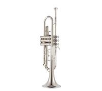Trompeta Para Adultos Instrumento De Trompeta B Tecla Plana Banda Para Principiantes Instrumento Estándar De Rendimiento Profesional(D)
