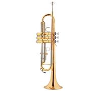 Trompeta Para Adultos Instrumento De Trompeta B Tecla Plana Banda Para Principiantes Instrumento Estándar De Rendimiento Profesional(A)