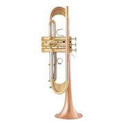 Trompeta Para Adultos Instrumento De Trompeta En Si Bemol TR600GS Con Acabado En Bronce Fosforoso Cepillado Y Baño De Plata De Alto Rendimiento Profesional(B)