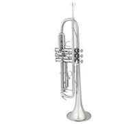 Trompeta Para Adultos Instrumento De Trompeta Estándar Profesional En Tecla Si Bemol, Nivel De Rendimiento Profesional De Banda Para Adultos Principiantes(C)